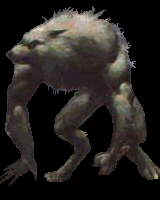 werewolf.jpg (4686 bytes)